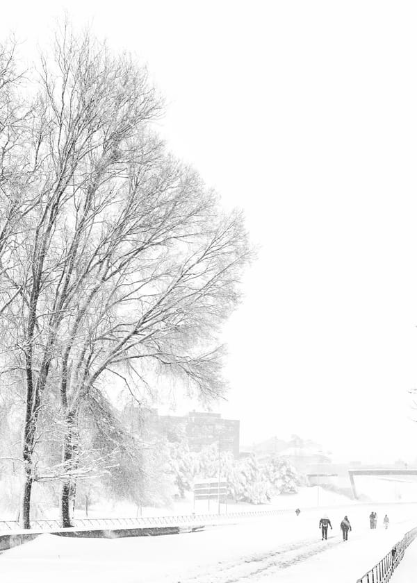 Leganés, Fotografía, Abuelohara